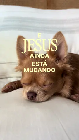 Bom diaaa, Jesus.  Obrigada, Jesus. 