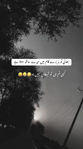 Mention //#fyp 