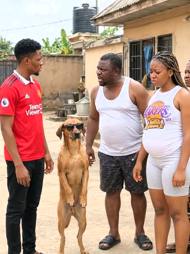 Landlord daughter don Carry belle! 🙆😳..see Wetin Bingo talk for the matter 😳😂💔 #viralvideo 
