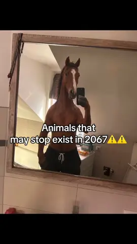 It’s very sad #animals #existing #funny 