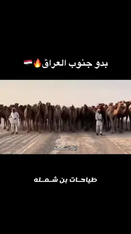 #شـديد_البــدو #اخــوان_سـعـده #هل_الـدويلـع 