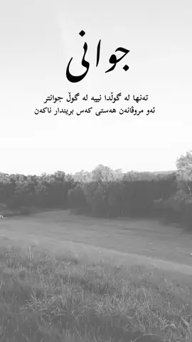 جوانی تەنها لە گوڵدا نییە لە گوڵ جوانتر ئەو مرۆڤانەن هەستی کەس بریندار ناکەن.