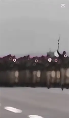 #ssgcommandos✌🏻🇵🇰 #pakistanarmyzindabad🇵🇰💪❤🇵🇰 #foryou #viralvideo #100kviews✔️ 