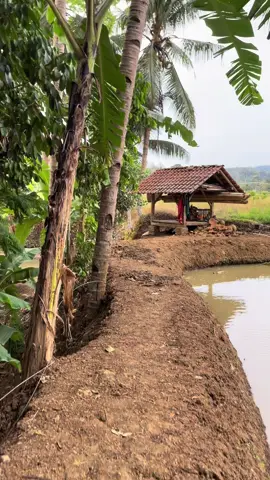 Sederhana suasananya, tapi matak sono ka lembur. 🌾🤍 #LensaDesa #MatakSono #SuasanaDesa #Pedesaan #rindukampunghalaman 