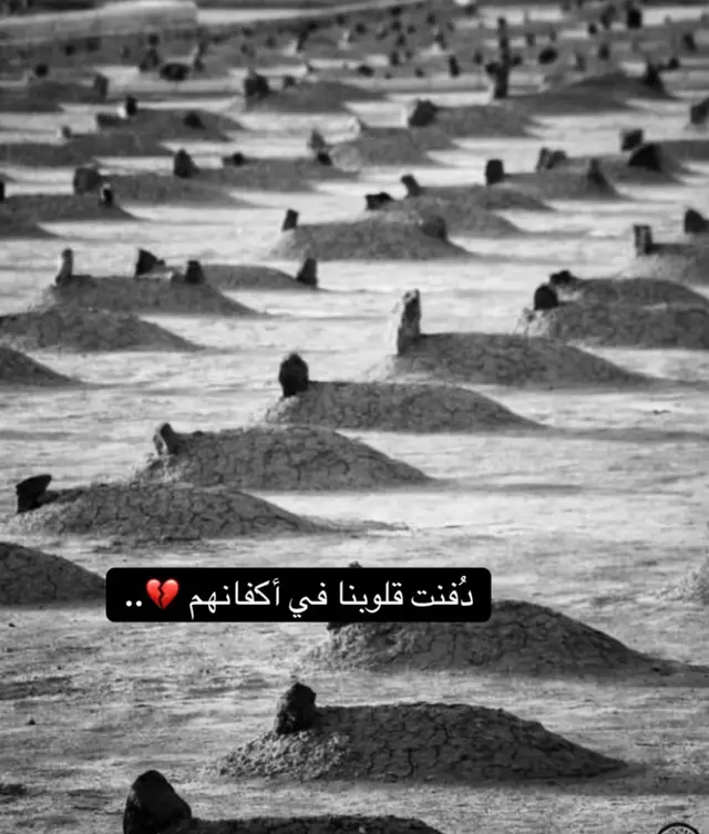 #اكسبلور #المشاهير 