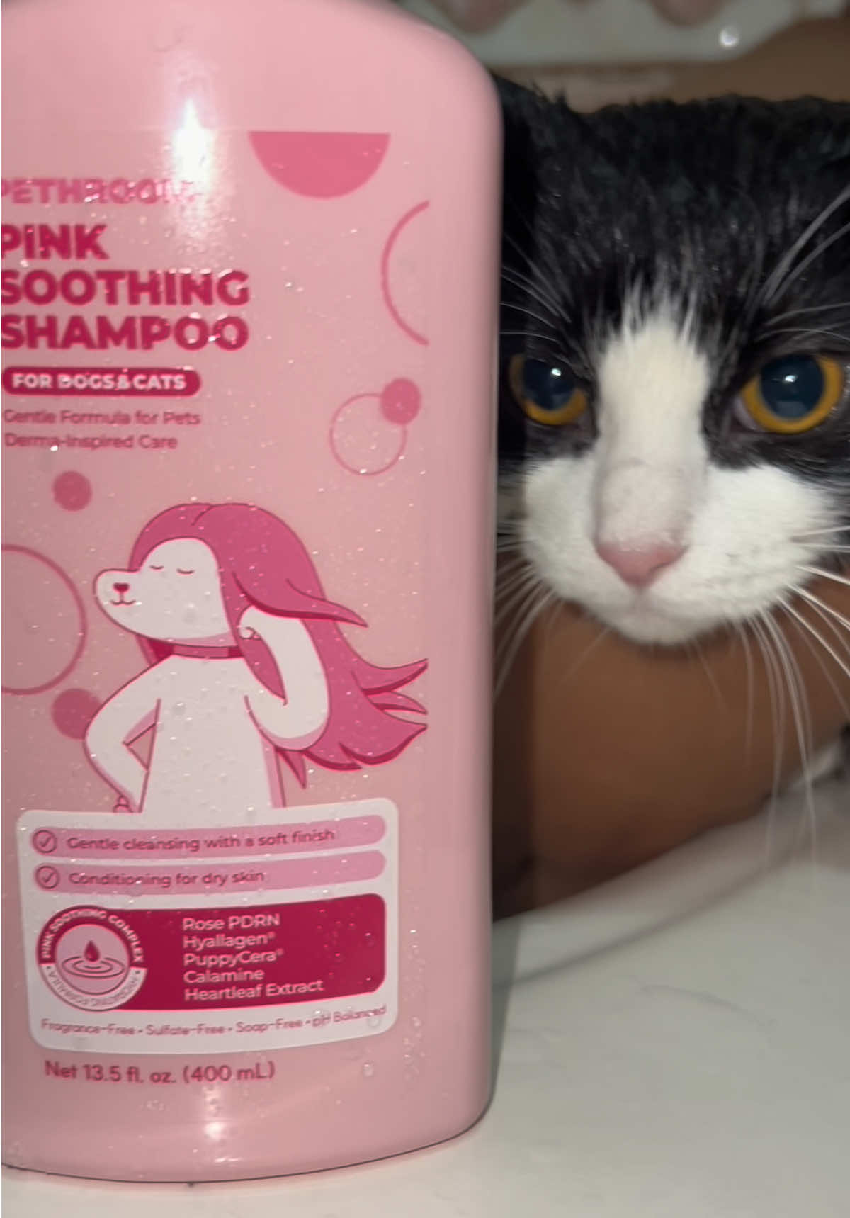 K-Pet Care is officially on my radar 🐾💗 This pink shampoo makes bath time feel a little more fun while giving my fur baby a gentle 3-in-1 cleanse, condition + odor care 🛁✨ Available on Amazon! @PETHROOM Global #pethroom #pinksoothingshampoo #kbeauty #PetsOfTikTok #catlover 
