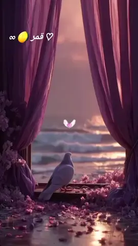 #وتين #🦢 #♠️ #قمر #شعب_صيني_ماله_حل😂😂 