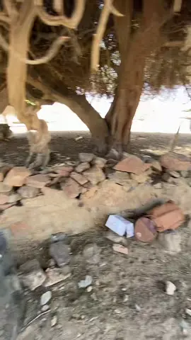 #اكسبلور #العلياني 