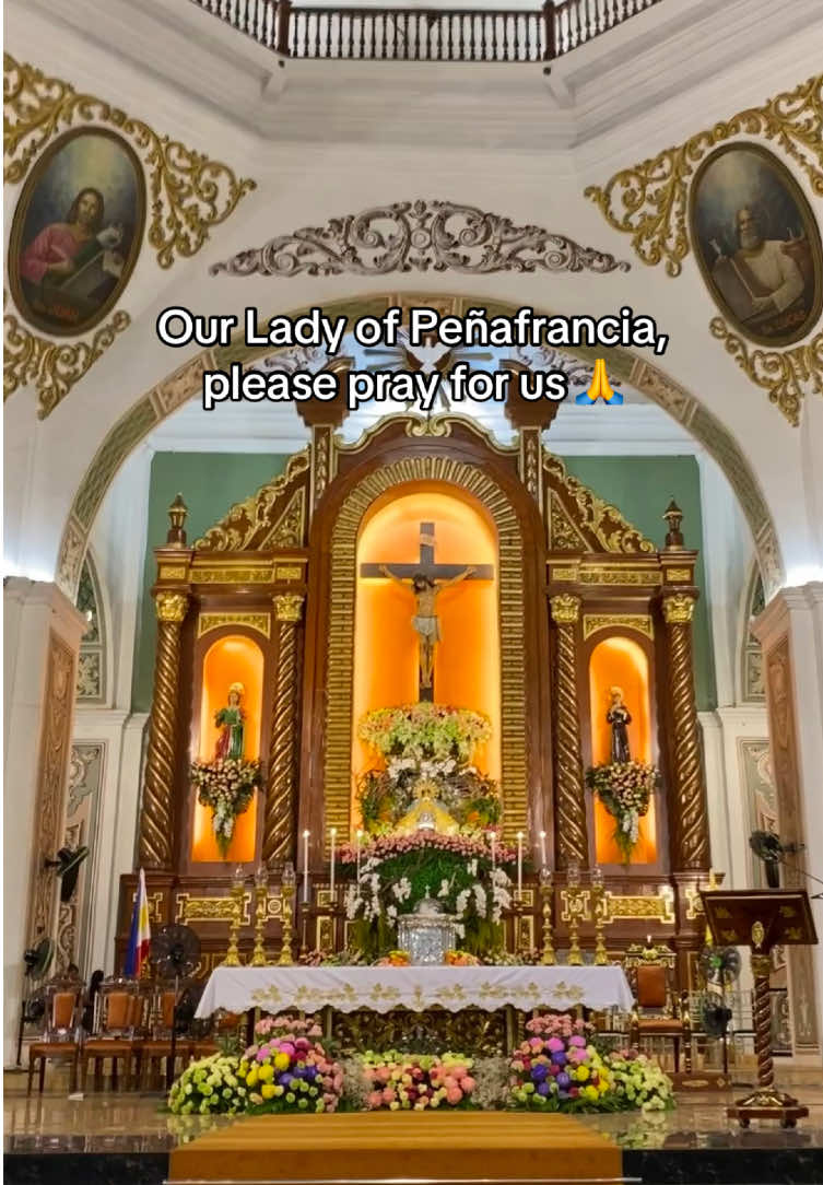 #vivalavirgen #peñafrancia #fluvialprocession #peñafranciafestival2026 #fypシ 