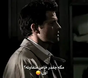 #فوريو  فلاپنشو