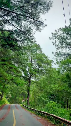 Đường lên đỉnh Langbiang, bạn đã thử chưa? #365dulich #traveltiktok #dalat #dulich #langbiang 