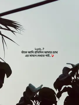 Part-276 Luck..? তাঁকে আমি প্রতিদিন আমার চোখ এর সামনে দেখতে পাই..❤️‍🩹#viral_video #bangladesh #tiktok #foryoupage #fyppppppppppppppppppppppp 