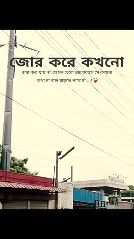 জোর করে কখনো~ কথা বলা যায় না, যে মন থেকে ভালোবাসে সে কখনো কথা না বলে থাকতে পারে না....!❤️‍🩹 #fyppppppppppppppppppppppp #foryou #capcut #foryoupage #fyp 