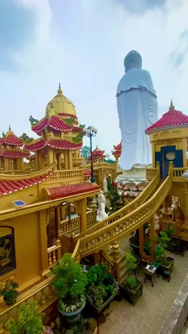 Đời nguoi chìm nổi bể dâu. ###tâmnvansuan11  ###phaphay11 