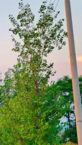 Awo kana yar....... #naturalbeauty  #naturallife  #beautifulview  #beautifulview  #trindingvidro @TikTok Pakistan ,,🫀🫰🫰💖💖💔💓💓