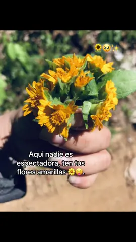 🌼🥹.#fypシ゚viral #paratiiiiiiiiiiiiiiiiiii #chicasdetiktok #seguidoras #foryoupage 