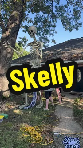@Gejoy Fun Finds #TikTokshopbacktoschool #halloween2026 #halloween #12ftskeleton #skelly 