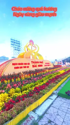 #bacgiang #bacninh #cuộcsốnghằngngày #xuhuongtiktok #trảinghiệm CHÚC MỪNG QUÊ HƯƠNG🥰🌸🌹🍻