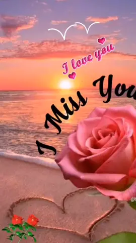 #xuhuongtiktok #nhachaymoingay #goodnightstatusvideo #iloveyousomuch #trendingsong 