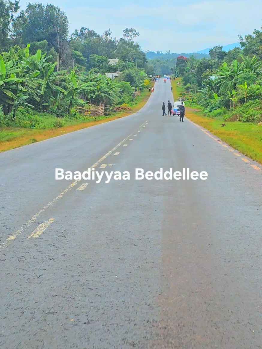 Baadiyyaa Buunnoo Beddellee fi Sagalee miidhagaa weellisaa taaddalee gammachuu