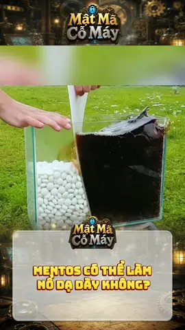 Mentos có thể làm nổ dạ dày không? #matmacomay #khampha #fyp 