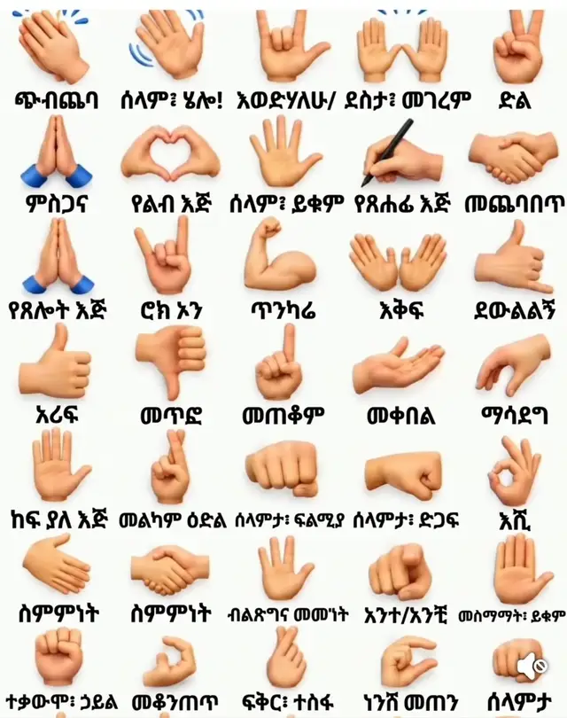 #YouTube #ethiopian_tik_tok🇪🇹🇪🇹🇪🇹🇪🇹 # @binienglish1 