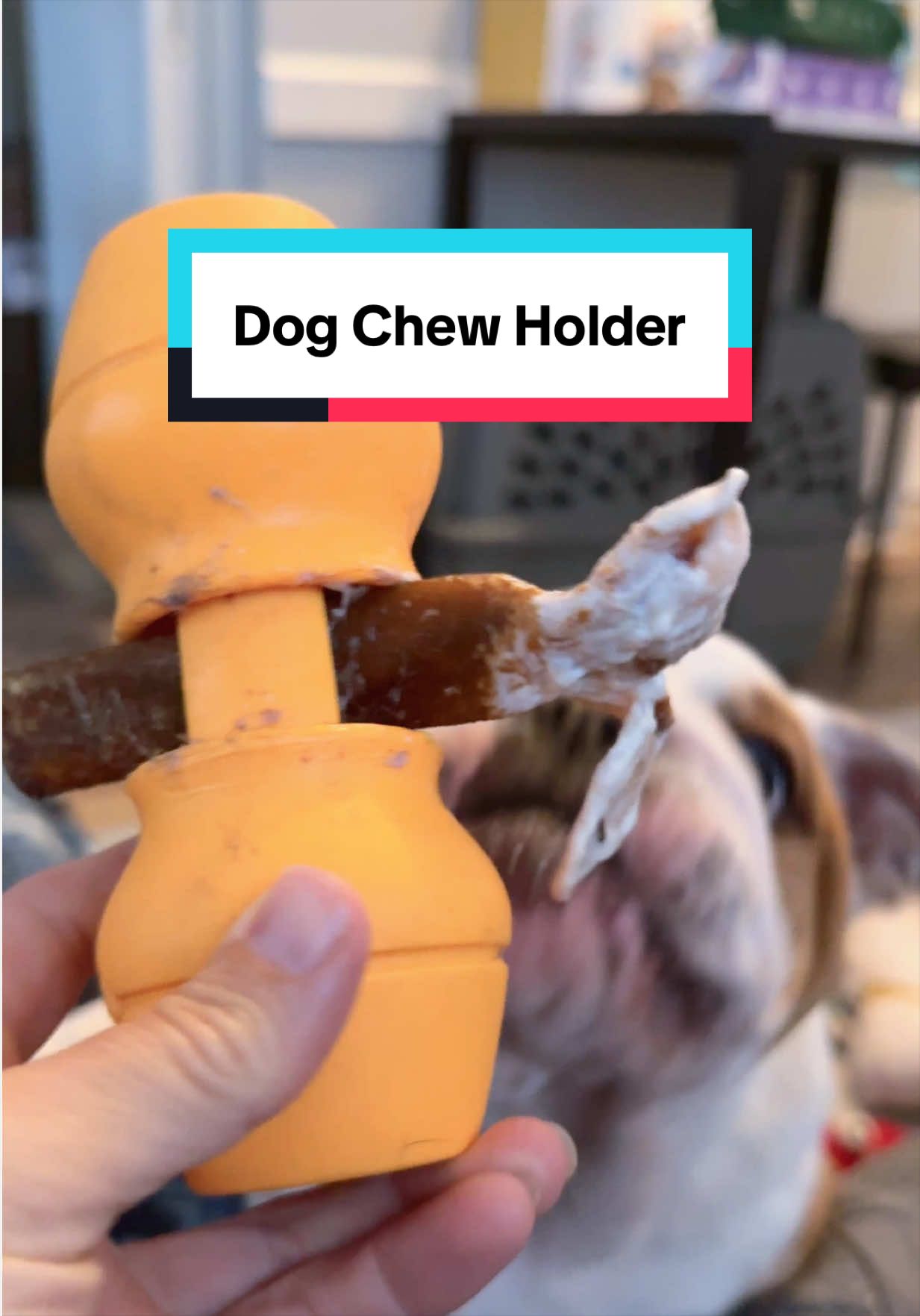 Hands down the best bully stick/chew holder there is!! #bullystick #bullystickholder #dogchewholder #dogsafety #dogchew 