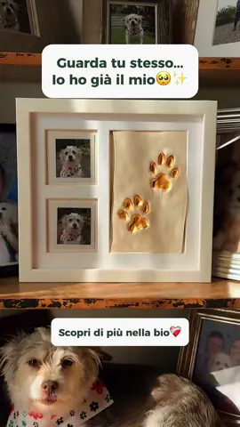 Per chi ama il propio cane… non c’è un vero regalo 😔… anzi aspetta. Invece esiste 🥺🐾 La sua vera impronta in argilla, rifinita in oro, custodita per sempre accanto alle vostre foto più belle! 🐶✨scopri di più nel link in bio! #cani #regalo #doggy 