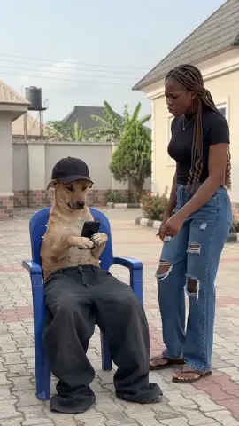 The Savage Dog 3