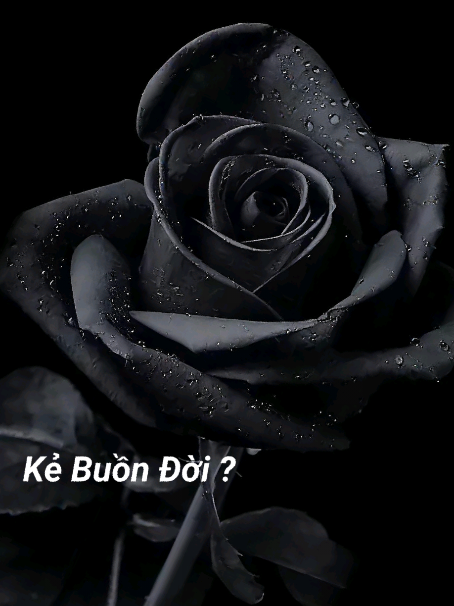 cái thứ đáng sợ nhất trên cuộc đời này á... #86kebuondoi #suyngam #camxuc #stt_buồn_tâm_trạng #xuhuong