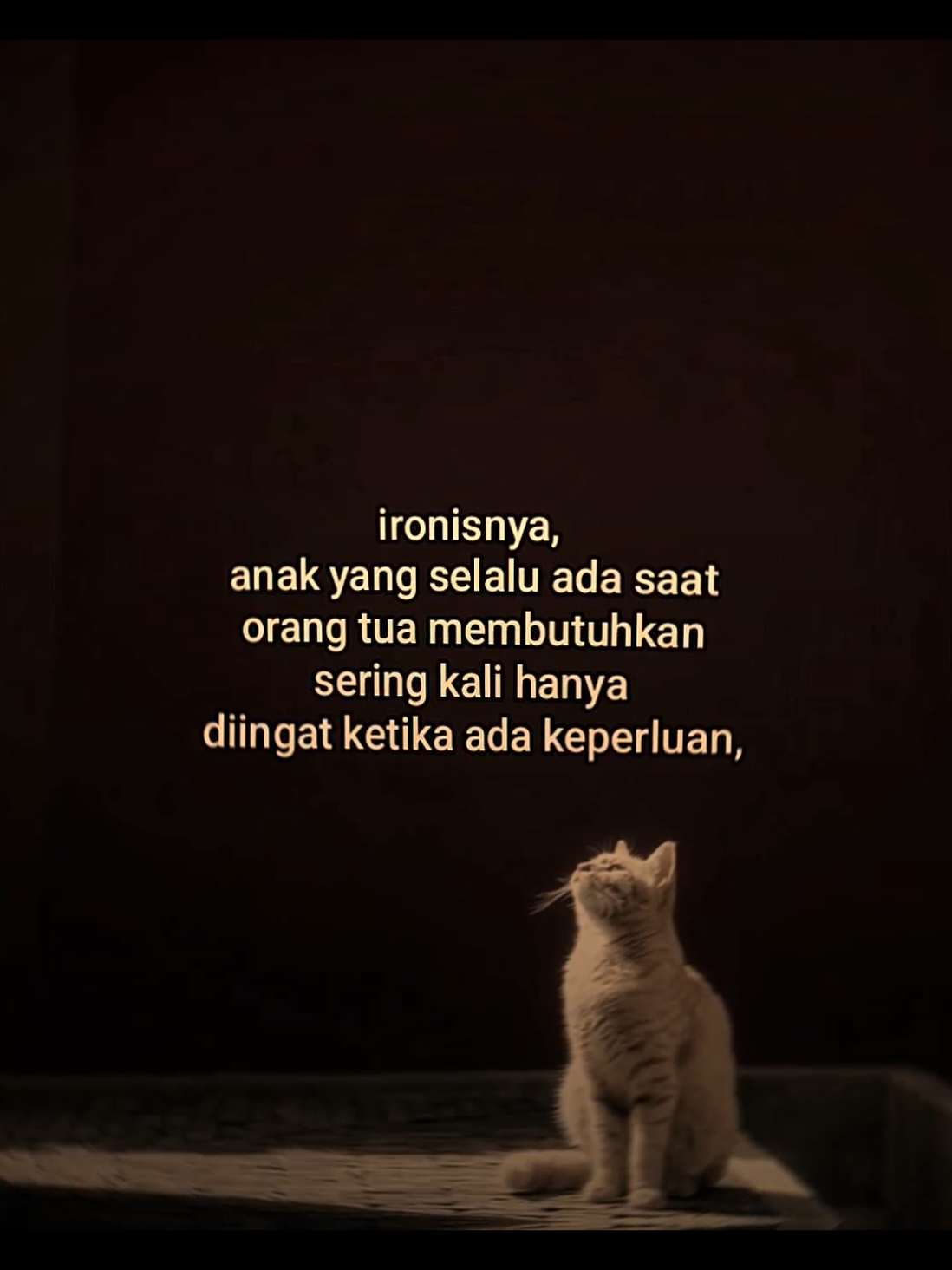 yg kandung ditirikan, yg tiri dikandungkan😇