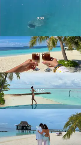 How to spend the perfect day in the Maldives 🌴🌊✨ at @Nova Maldives  Starting the morning snorkeling with a whale shark 🦈🤿💙 Breakfast with an ocean view 🥥☕️ Sunbathing under the Maldivian sun ☀️ And ending the day with a magical sunset next to the one you love 🌅❤️ #Maldives #WhaleShark #MaldivesVacation #CoupleTravel #Paradise     