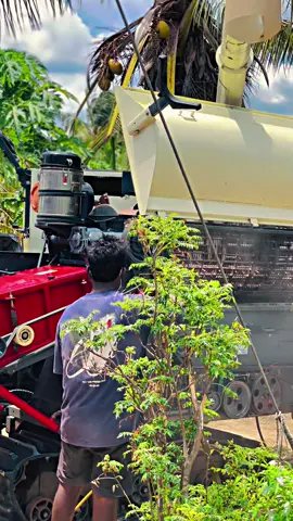 වැඩ අහවර වෙල නල සැපෙ ඉන්න එව..! 👀 මැදිගිරිය අපි.. #CapCut #historia #tiktok 