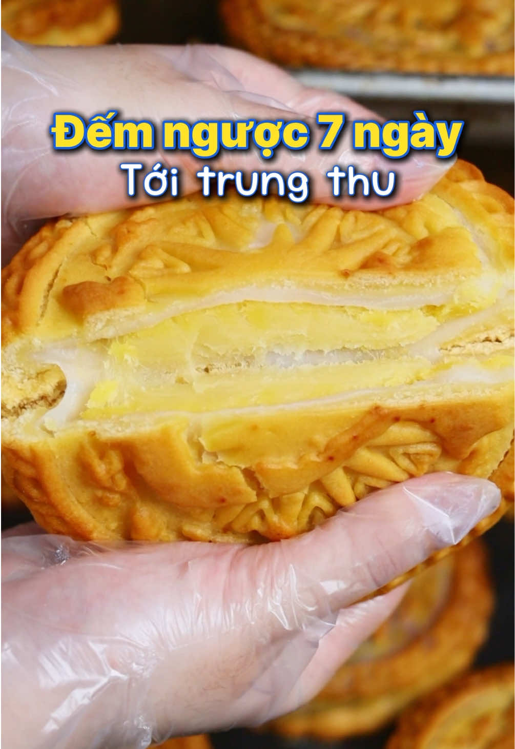 Thế là chỉ còn 7 ngày nữa tới trung thu rùi các bác ơi #tiembanhlamthuy #banhtrungthulamthuy 