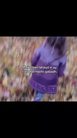 .#vrial #foryou #vrial_video 