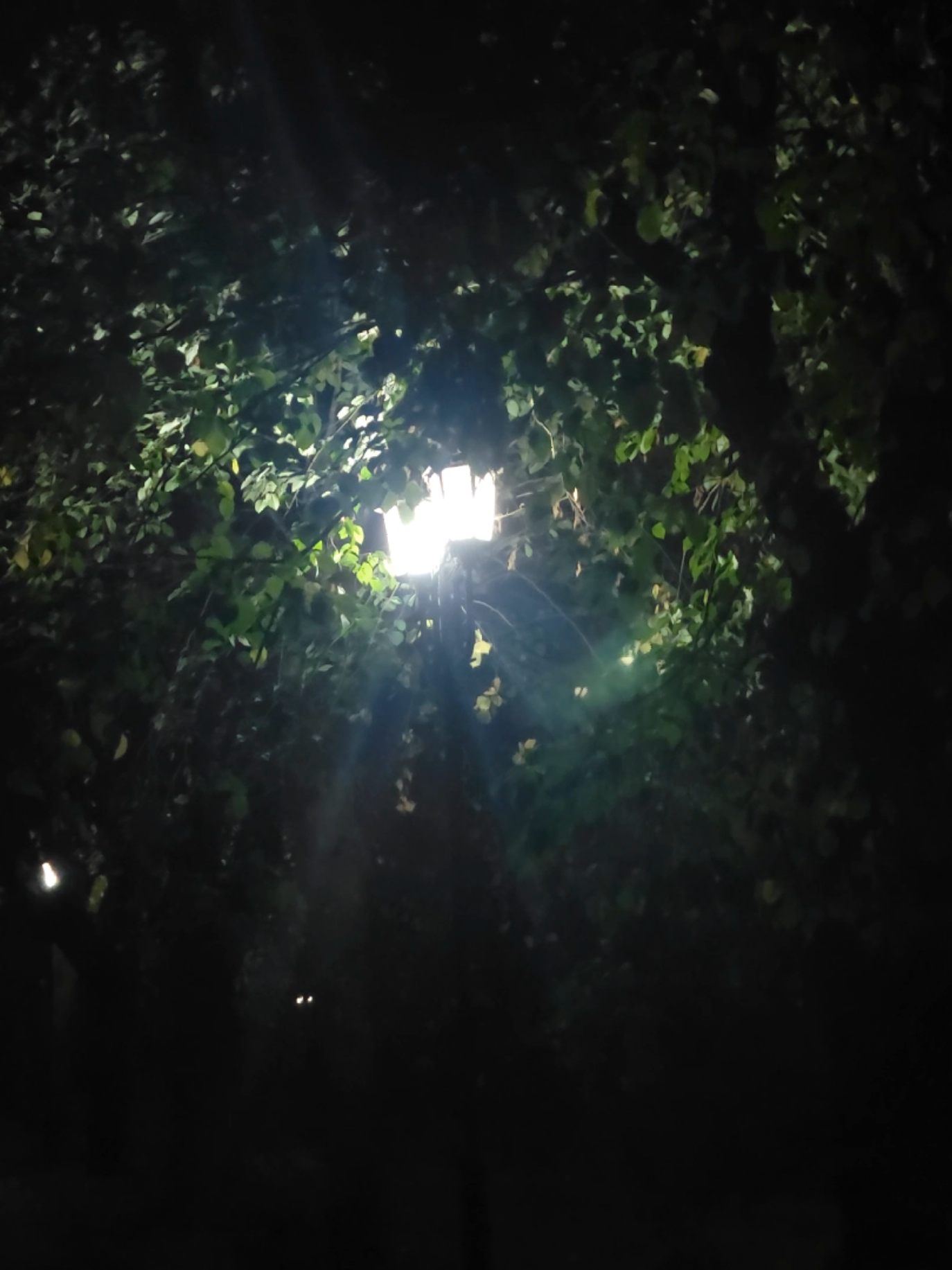 тгк:mbwnature  #вайб #тильт #real #атмосфера #vibe #atmosphere #communityreal #depression 