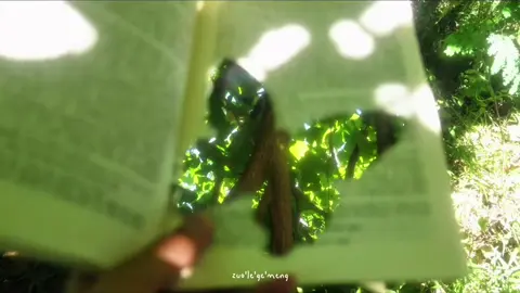 “Góc nhỏ bình yên giữa mùa hè, nơi tiếng ve râm ran hoà cùng vạt nắng vàng rực rỡ trên vòm lá xanh.” #xuhuong #Summer #chill #chillvibes 