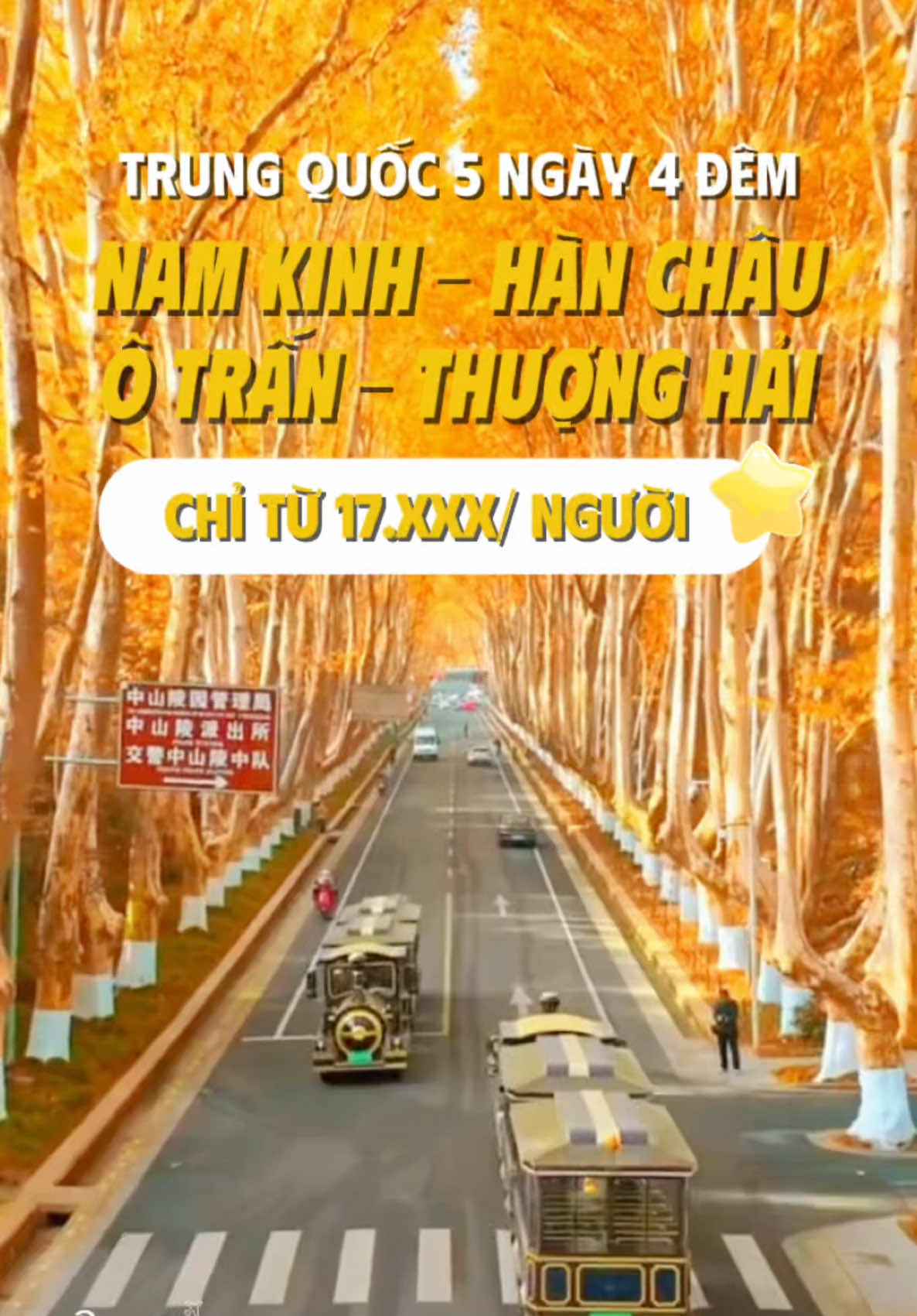 Tour Trung Quốc 5 ngày 4 đêm Nam Kinh - Hàn Châu - Ô Trấn - Thượng Hải hot nhất vào mùa thu này chỉ từ 17.xxx #trungquoc #dulichtrungquoc #danang24 #vivutrungquoc #xh 
