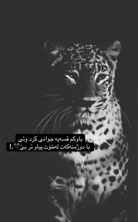 با دوژمنەکەت لەخۆت پیاو تر بێ.#foryou #CapCut #باکتیڤبنن #شعب_الصيني_ماله_حل😂😂 #fyp 