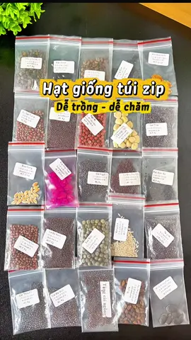-( TÚI ZIP ) Hạt giống #hatgiongrau 