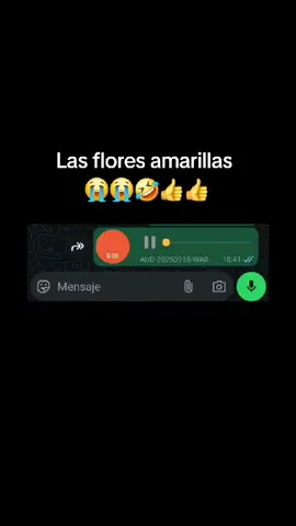 #fypシ゚ #issaruiz 