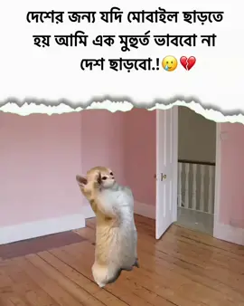 আমি দেশকে ভালোবাসি 🥲🐸 #foryou #viraltiktok #fvpシ #tranding #funnyvideos 