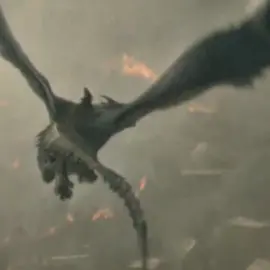 mirando😛 #houseofthedragon #caraxes #syrax #syrax #dragon 