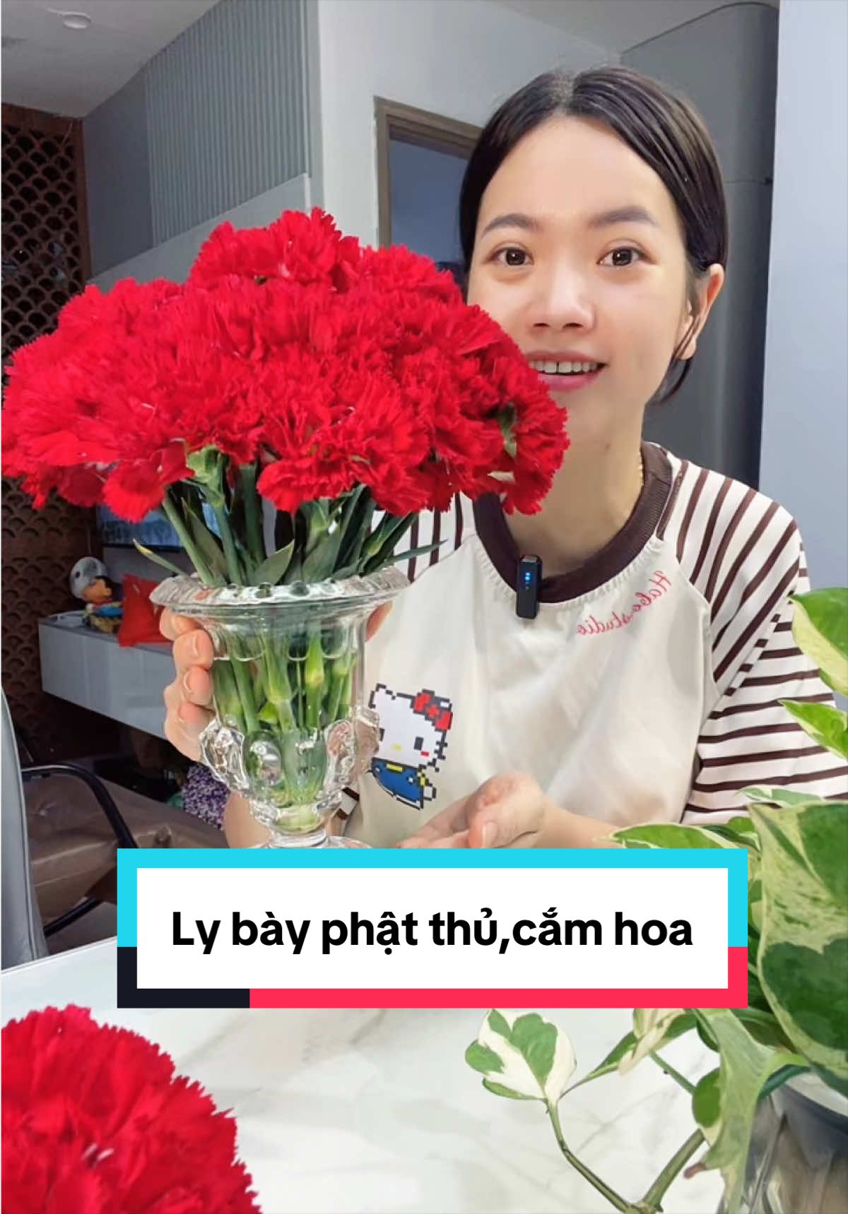 Ly bày phật thủ, cắm hoa, trồng cây thuỷ sinh siêu đẹp zá rẻ nè! #tiepthilienket #xuhuong #lybayphatthu 