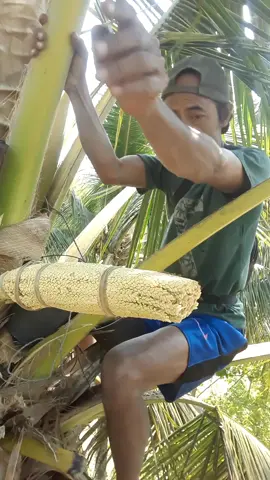 ngeluk manggar 
