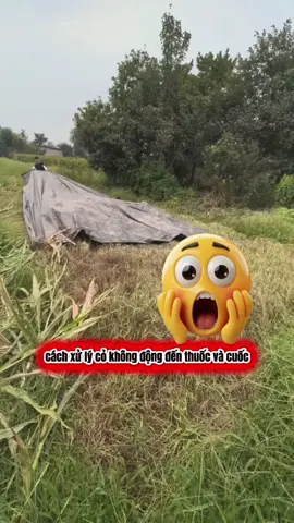 diện tích không quá lớn, không cần sử dụng ngay áp dụng theo cách này rất tốt ạ #lamvuon #trongcay #trongrau #nongnghiep #langcaytaybac