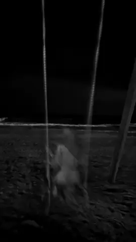 ….