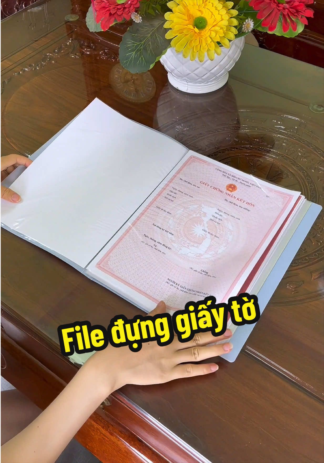 File lá a4 đựng giấy tờ tài liệu #lyratxinh #fileladungtailieu #filelaa4 #fileladanang 