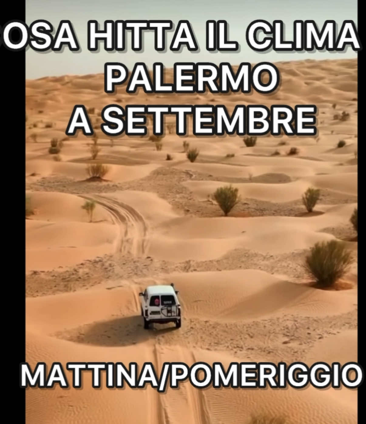 E i tropici muti💀 #palermo #settembre 