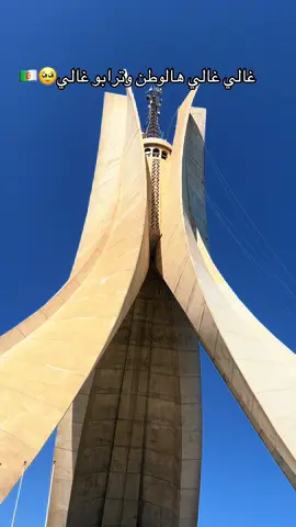 #viral #fyp #algerie🇩🇿🇩🇿 #الشعب_الصيني_ماله_حل😂😂 #viraltiktok 
